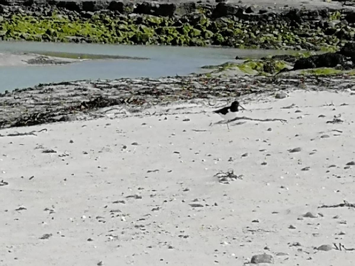 The Fisherman'S Snug Self Catering North Uist Paible エクステリア 写真