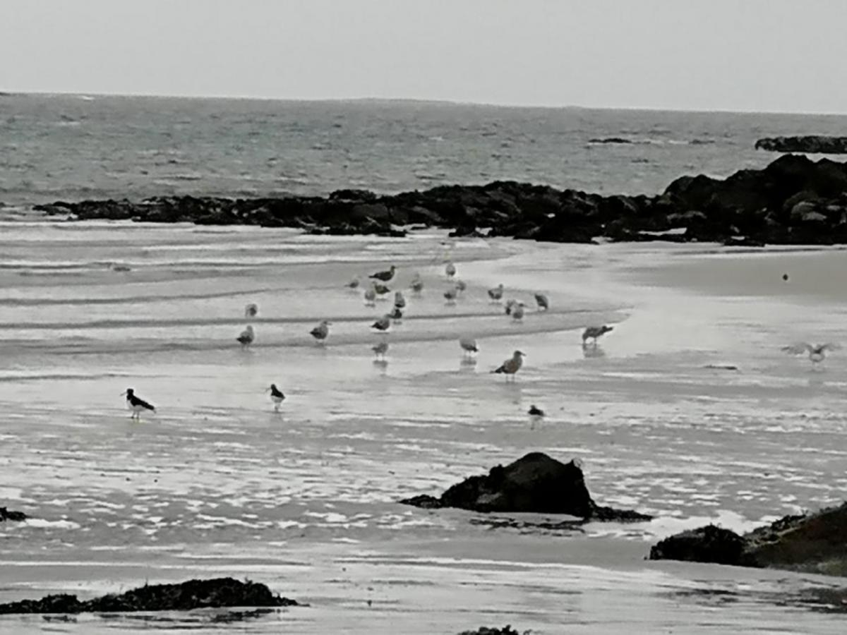 The Fisherman'S Snug Self Catering North Uist Paible エクステリア 写真