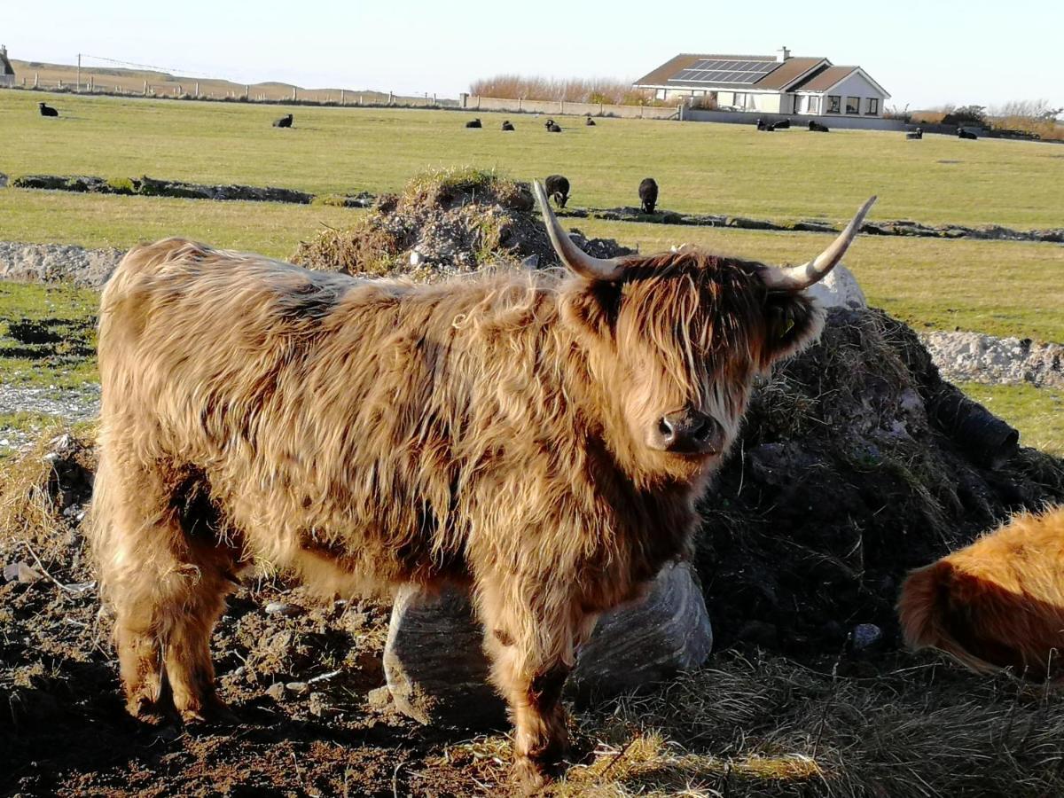 The Fisherman'S Snug Self Catering North Uist Paible エクステリア 写真