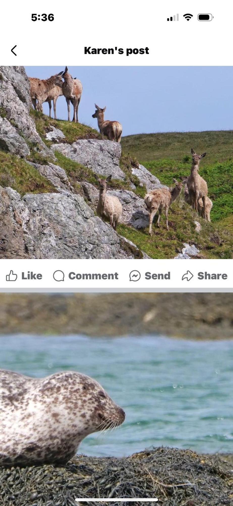The Fisherman'S Snug Self Catering North Uist Paible エクステリア 写真
